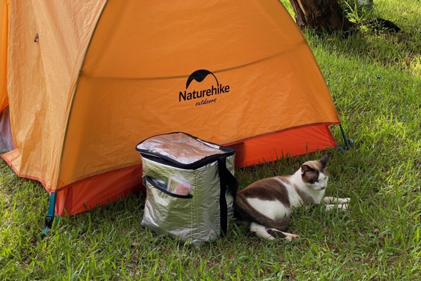 猫とテント
