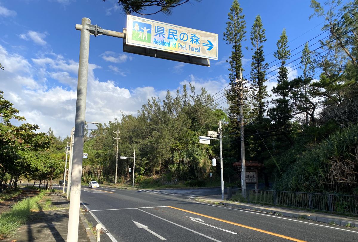 県民の森