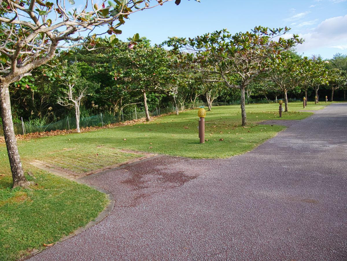 camping site