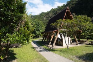 camping-site