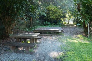 camping-site