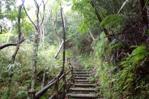 hiking-course