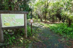 hiking-course