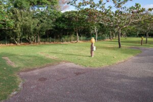 camping site