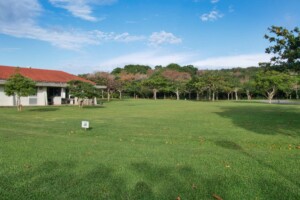 camping-site