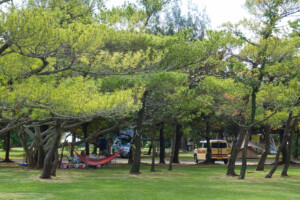 camping-site