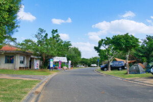 camping-site